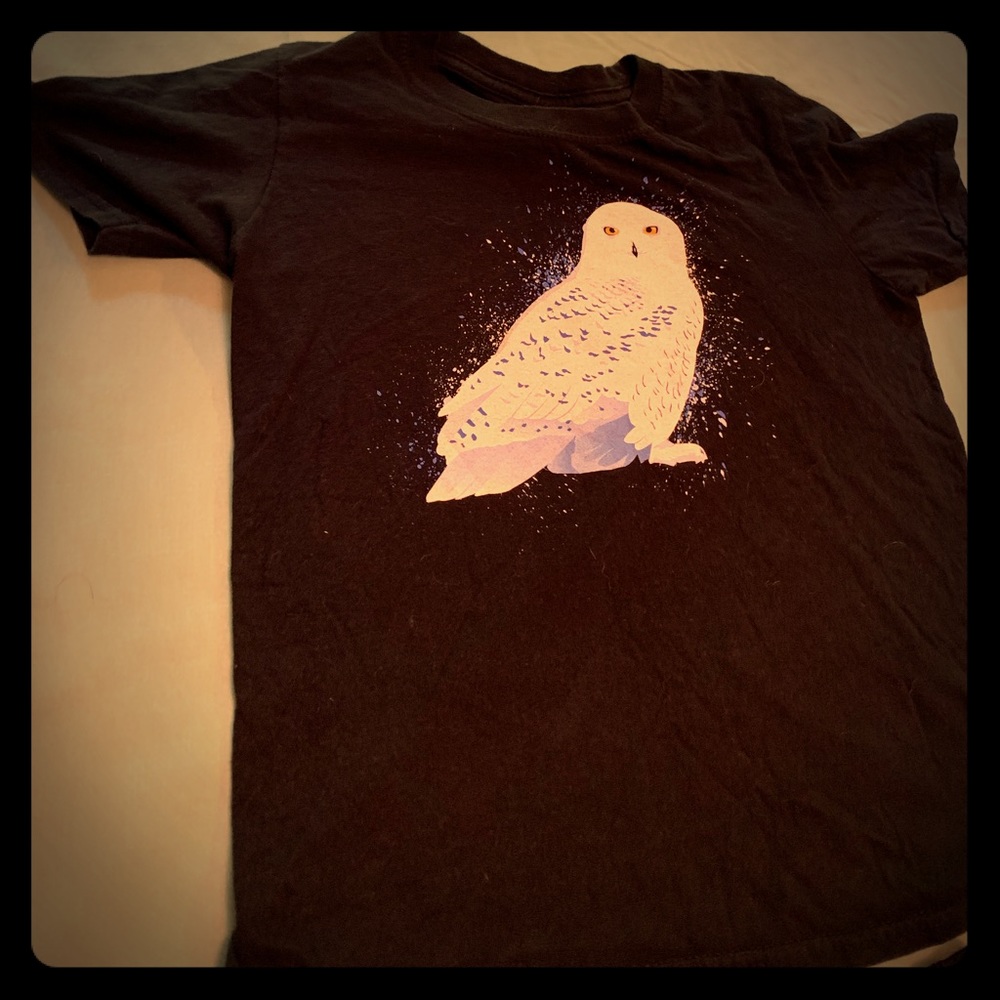 Harry Potter hedwig and dementer t-shirts
